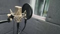 Studio microphone with shock mount and pop filter Royalty Free Stock Photo