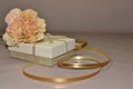 The studio photo of a beautiful pink carnation flower and gift box with golden ribbon for mother`s and woman`s day Royalty Free Stock Photo