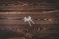 Studio photo of three keys on a wooden background. One of the keys is broken