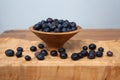 A studio photograph of a bowl of blueberries Royalty Free Stock Photo