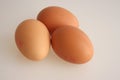 A studio photograph of hen`s eggs