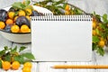 Studio photography of open blank ring bound notebook surrounded by a fresh fruits plums and pencil on white wooden table Royalty Free Stock Photo