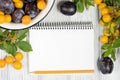 Studio photography of open blank ring bound notebook surrounded by a fresh fruits plums and pencil on white wooden table