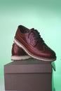 Brown leather shoe Royalty Free Stock Photo