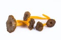 Studio picture of yellow trumpet mushrooms called yellow foot