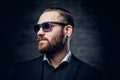 Studio portrait of bearded male dressed in a blue jacket and sunglasses. Royalty Free Stock Photo