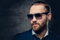 Studio portrait of bearded male dressed in a blue jacket and sunglasses. Royalty Free Stock Photo