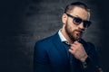 Studio portrait of bearded male dressed in a blue jacket and sunglasses. Royalty Free Stock Photo