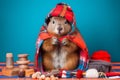 Studio portrait of a beaver wearing knitted hat, scarf and mittens. Colorful winter and cold weather concept