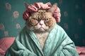 a cat in curlers and a bathrobe, concept of Feline grooming and Animal humor, created with Generative AI technology