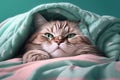 Studio portrait of cat in pijama having insomnia lying alone, created with Generative AI technology