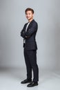 Studio portrait of a confident young East Asian business man Royalty Free Stock Photo