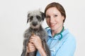 Studio Portrait Of Female Veterinary Surgeon Holding Lurcher Dog Royalty Free Stock Photo