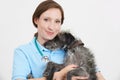 Studio Portrait Of Female Veterinary Surgeon Holding Lurcher Dog Royalty Free Stock Photo