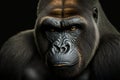 Studio portrait of gorilla, creative digital illustration, animals, wildlife