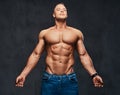 Portrait of shirtless muscular male in a jeans. Royalty Free Stock Photo