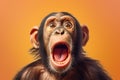 Studio portrait of shocked chimpanzee with surprised face, created with Generative AI technology