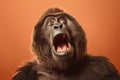 Studio portrait of shocked gorilla with surprised eyes, concept of Startle