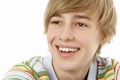 Studio Portrait Of Smiling Teenage Boy Royalty Free Stock Photo