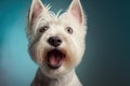 Studio portrait of a west highland white terrier dog, created with Generative AI technology Royalty Free Stock Photo