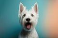 Studio portrait of a west highland white terrier dog, created with Generative AI technology Royalty Free Stock Photo