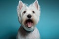 Studio portrait of a west highland white terrier dog, created with Generative AI technology Royalty Free Stock Photo