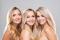 Studio portrait of young, beautiful and natural blond women over grey background. Close-up of smiling girls. Face Royalty Free Stock Photo