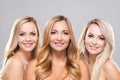 Studio portrait of young, beautiful and natural blond women over grey background. Close-up of smiling girls. Face Royalty Free Stock Photo