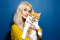 Studio portrait of young blonde girl holding red white cat in her hands. Background of blue color. Royalty Free Stock Photo