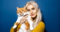 Studio portrait of young blonde girl hugging her red white cat on background of blue color. Royalty Free Stock Photo