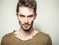 Studio portrait of young handsome man in knitted sweater. Close-up photo. Royalty Free Stock Photo