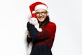 Studio Portrait Of Young Happiness Man With Eyeglasses In Red Sweater Hugging A White Kitty Cat With Blue Eyes, Both Wearing Santa
