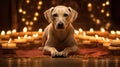 Studio shot of an adorable Labrador Retriever dog lying in front of candles. Generative AI