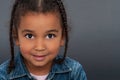 Cute African American Mixed Race Girl With Pig Tails Royalty Free Stock Photo