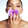 Spread positivity. Studio shot of a beautiful young woman posing with a flower in her mouth. Royalty Free Stock Photo