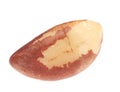 Studio shot of brazil nut.