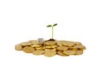 A studio shot of a bunch of coins with a small plant stalk coming out of it and dice cube with word Buy