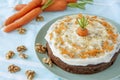 Studio shot of Carrot, cheese and walnut cake Royalty Free Stock Photo