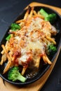 Cheese grilled chicken with french fries Royalty Free Stock Photo