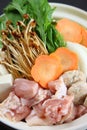 Chicken  with Mushrooms hot pot Royalty Free Stock Photo