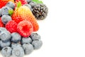 Studio shot collection of organic blackberries, strawberries, blueberries and raspberries isolated Royalty Free Stock Photo