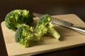 Studio shot of pieces of broccoli on cutting board