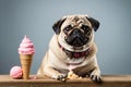 Studio shot of cute little pug enjoying ice cream. AI generated