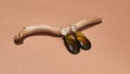 Studio shot of dangle earrings made of golden metal and brown amber epoxy resin on wooden stick isolated over beige