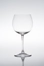 Studio shot of empty vine glass Royalty Free Stock Photo