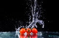Studio shot with freeze motion of cherry tomatoes Royalty Free Stock Photo