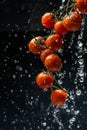 Studio shot with freeze motion of cherry tomatoes in water splash on black background Royalty Free Stock Photo