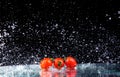 Studio shot with freeze motion of cherry tomatoes Royalty Free Stock Photo