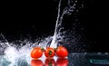 Studio shot with freeze motion of cherry tomatoes Royalty Free Stock Photo