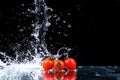 Studio shot with freeze motion of cherry tomatoes Royalty Free Stock Photo